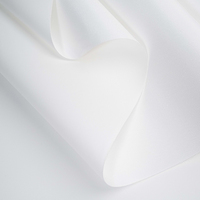 Toile en polyester mate 280GSM compatible avec Epson, Canon, HP pour impression jet d'encre, toile d'art décorative