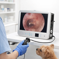 Sistema de Endoscopia Animal Todo en Uno con Grabación de Video para Cirugía con Endoscopio Rígido, Pantalla LCD de 22 Pulgadas