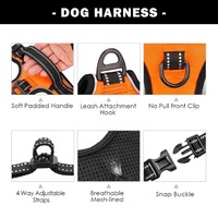 Harnais pour chien personnalisable en nylon respirant et réglable, marque privée OEM, pour chiens de petite, moyenne et grande taille