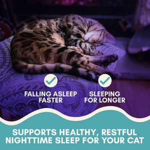 Strip makanan ringan kucing keluaran baru grosir makanan kucing basah makanan kucing rasa OEM makanan ringan kucing krim camilan makanan ringan - Product Image 5