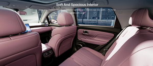 Nouvelle voiture d'exportation GAC AION UT MIMI, voiture <span class=keywords><strong>électrique</strong></span>, véhicules <span class=keywords><strong>électrique</strong></span>s pour adultes, charge rapide, certification COC UE, autonomie de la batterie 330 km - Product Image 6