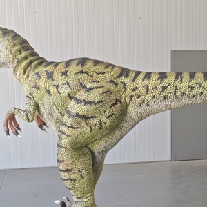 Costume de dinosaure <span class=keywords><strong>Velociraptor</strong></span> marchant populaire Zigong CET, design de pattes cachées, léger, tailles personnalisées, pour parcs d'aventure et écoles - Product Image 3