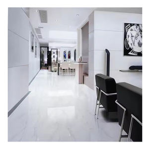Piastrelle per Pavimenti 60x60 <span class=keywords><strong>in</strong></span> <span class=keywords><strong>Marmo</strong></span> Bianco Neve, Granito Bianco, Porcellana e Ceramica - Product Image 1