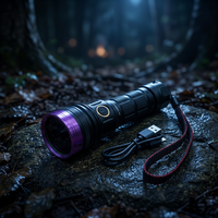 Lampe torche UV Gamela rechargeable par USB 12W 365nm avec filtre noir en alliage d'aluminium, outils auto A/C certifiés ISO, garantie 1 an