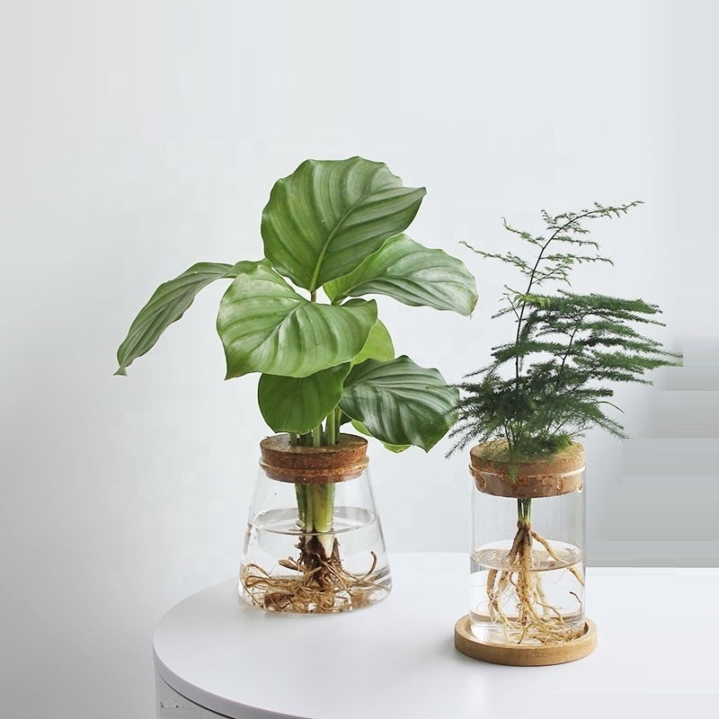 Glass Vase with Wooden Base