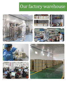 Sophora Japonicaエキスパウダー50% Kaempferol ISO工場供給トップグレード - Product Image 4