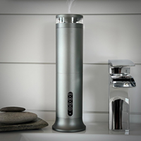 Diffuseur d'huiles essentielles sans eau, silencieux, portable, pour la maison, l'hôtel, le marketing olfactif, parfum d'ambiance, rechargeable, 360°, aromathérapie