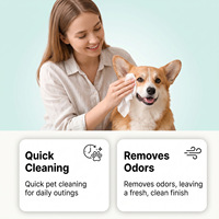 Lingettes nettoyantes pour animaux de compagnie en dropshipping, autres jouets à mâcher pour animaux, produits de toilettage, fournitures de nettoyage et de bain, shampoings, jouets à mâcher