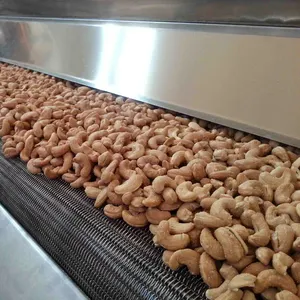 Nuts Roasting Machine Automatic High Quality 304 Stainless Steel Nuts Roasting Machine | NUT 2500