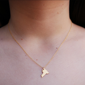 Collana con Ciondolo Stato di New York Inspire Jewelry, Collana Statement con Mappa USA in Acciaio Inossidabile per Uomo/Donna, Personalizzabile con Nome o Logo - Product Image 4