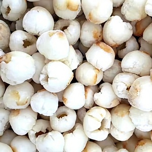 Litchis surgelés IQF : Préservant la douceur naturelle, la jasminée et la saveur fraîche pour les acheteurs en gros internationaux - Product Image 1