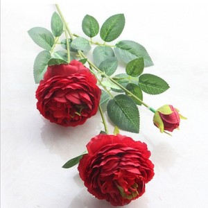 Fleur <span class=keywords><strong>de</strong></span> pivoine en soie à tige unique <span class=keywords><strong>de</strong></span> 55 cm pour mariage, maison, fête, hôtel, décoration <span class=keywords><strong>de</strong></span> <span class=keywords><strong>rebord</strong></span> <span class=keywords><strong>de</strong></span> fenêtre, arrangements floraux artificiels - Product Image 5