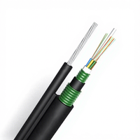 Kabel Serat Optik Multimode 8 Core OM3 50/125um Outdoor Armored Loose Tube LSZH untuk Saluran Udara dan Penanaman Langsung