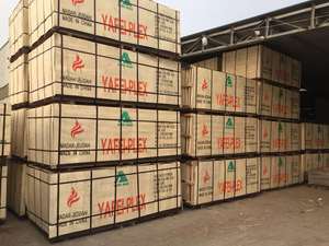 Arserwood 18 مللي متر إصبع مشترك النواة مغلفة المضادة للانزلاق واجه الفيلم الخشب الرقائقي للماء الخشب الرقائقي - Product Image 4