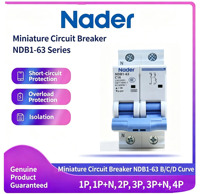 Disjoncteur miniature Nader NDB1-63 de haute qualité, 1-63A, courbes B/C/D, montage sur rail DIN, protection contre les surcharges et les courts-circuits