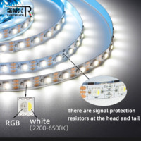 Bande LED intelligente adressable TRX WS2812B/SK6812 60LED DC5V/12V 5050RGBW 2700K-6000K avec télécommande USB/Wi-Fi pour aménagement paysager