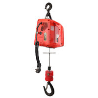 Offre Spéciale palan électrique de traction de grue Portable 200kg 220v 110v pour le levage