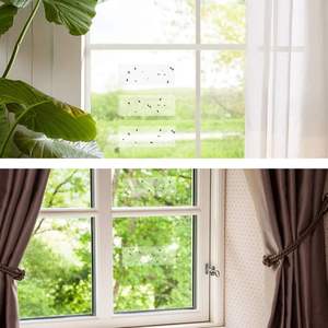 Pièges à mouches pour fenêtres d'intérieur, bandes adhésives en papier, piège à mouches pour fenêtres transparentes pour la maison, piège à mouches domestiques, pièges à coccinelles - Product Image 4