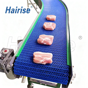 Băng Tải Nhựa Mới Với Băng Tải Chịu Nhiệt Tốc Độ Cao Từ Hairise - Product Image 1