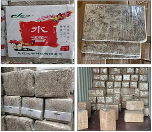 Approvisionnement d'usine de mousse de sphaigne séchée de qualité supérieure pour tapis Reptile pour animaux de compagnie et milieu de culture sans sol - Product Image 4