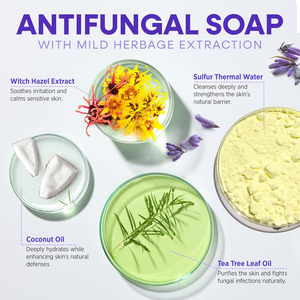Jabón antibacteriano de lavanda <span class=keywords><strong>natural</strong></span> y árbol de té de etiqueta privada | Barra facial corporal hidratante antiacné hecha a mano para limpieza profunda - Product Image 5