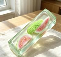 Jouet Squishy Premium en Cristal Transparent avec Barre de Fruits, Rempli de Tranches de Fruits Réels, à Remontée Lente