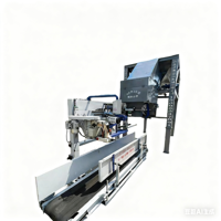 Jinshan Machine d'ensachage de plastique PLC semi-automatique à économie d'énergie à haut rendement dosage de précision pour les produits chimiques