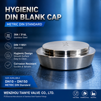 Tutup Kosong DIN Seri Sanitary 16AMP, Tutup Kosong DIN Higienis Metrik SS 304 SS 316L DN10-DN150 1"-4"