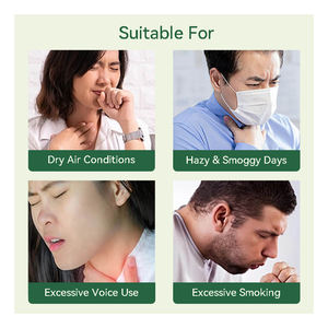 Thé pour le Soin de la Voix et le Soutien Vocal - Mélange de <span class=keywords><strong>Fruit</strong></span> <span class=keywords><strong>du</strong></span> Moine pour Chanteurs, Enseignants et Zones Sèches, Formule OEM Personnalisée - Product Image 6