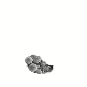 Poudre de tungstène métallique de haute pureté 99,95 %, poudre de tungstène sphérique à vendre - Product Image 4