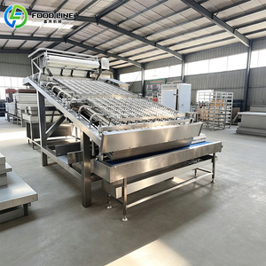 Planta Llave en Mano para Procesamiento de Camarones, Proyecto Llave en Mano para Procesamiento de Mariscos, Sistema Llave en Mano para Desconchado de Camarones - Product Image 4