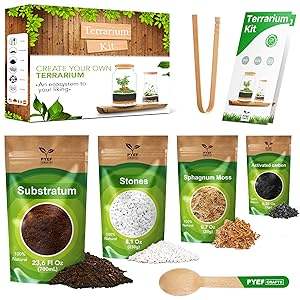 Kit Terrario Fai-da-Te PYEF CRAFTS per Creare un Ecosistema Autonomo, Include Succulente <span class=keywords><strong>in</strong></span> Barattolo di Vetro da 68 oz, Prodotto negli USA - Product Image 2