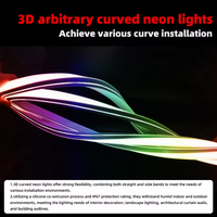 Bande LED néon RGB noire créative 24V en silicone flexible pour l'éclairage immersif des expositions numériques