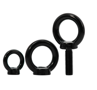 Baut Pengangkat & Mur Pengangkat Baja Tahan Karat Hitam 304 Standar Nasional Hoist Ring M3 M4 M5 M6 M8 M10 M12