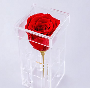 <span class=keywords><strong>Rose</strong></span> Naturali Preservate a Lunga Durata, Fiori Eterni Immortali in Confezione Regalo per San Valentino - Product Image 5