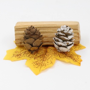 Mini nhỏ thông nón 25 Vòng chất béo tự nhiên sinh thái thân thiện trang trí pinecones 1 "2" 2.5-3cm - Product Image 4