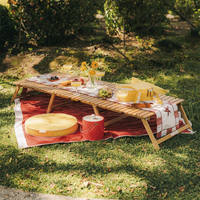 Table de pique-nique pliante en teck, portable, pliable, basse, pour le jardin, la cour, la pelouse, la plage, le parc, les fêtes
