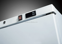 Congélateur vertical en acier inoxydable de qualité commerciale de luxe