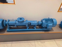 Bomba de Tornillo Excéntrico Horizontal Tipo G de Alta Calidad para Reflujo de Lodos, Bomba de Desplazamiento Positivo de Alta Viscosidad