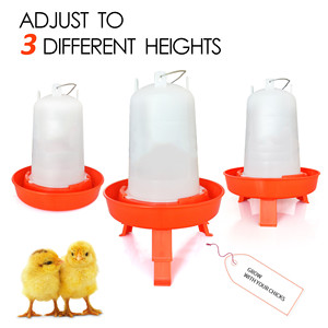Comedero y Bebedero <span class=keywords><strong>de</strong></span> Plástico para Pollos <span class=keywords><strong>de</strong></span> Granja, Comederos y Bebederos para Aves <span class=keywords><strong>de</strong></span> Corral - Product Image 4