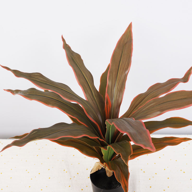 แดงเขียว