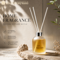 Bouteille diffuseur en verre dépoli rond de 200 ml avec bouchon à vis et bâtonnets en fibre pour diffusion en gros