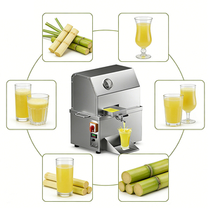 Extractor de Jugo de Caña de Azúcar de Bajo Ruido (<60dB) para Áreas Residenciales en Jordania - Soluciona Quejas de Vecinos, Funciona Temprano y Tarde - Product Image 1