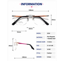 Lunettes de vue œil-de-chat sans monture pour femmes, monture carrée optique sans cadre, magnifiques lunettes en résine, modèle Animal Zg510zr, directement de l'usine