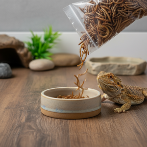 תולעי חלבון גבוהים מתאימות למזונות בעלי חיים קטנים - Product Image 3