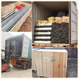 대형 가금류 사육장, 용융 아연 도금 금속, 10000마리/5000마리 산란계 닭장 - Product Image 4