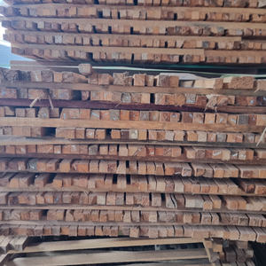 Piquets de soutien pour tomates en bois dur (Support de jardin) - Product Image 1