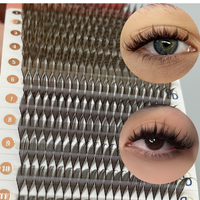 DRAGONLASH Nouveau design marron et brun foncé, extensions de cils Comic Spire Volume Complet 11-16mm mix C D, cils Promade Spike Spire