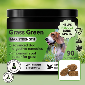 Masticables Naturales de Hierba para Perros con Probióticos y Multivitaminas, Neutralizador de Orina, Golosinas para el Césped, Suplementos para la Salud Urinaria e Intestinal - Product Image 1