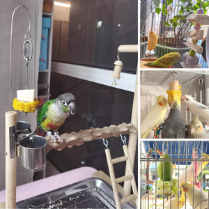 Stainless Steel <strong>Bird</strong> Skewer <strong>Food</strong> Holder Parrot Hanging Vegetable <strong>Fruit</strong> Feeder - Product Image 3